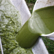 Illustration for article titled Algae Diesel Passes Final Exam, Plans For Weekend Bender